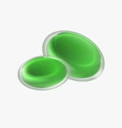 Illustration of green beneficial bacteria
