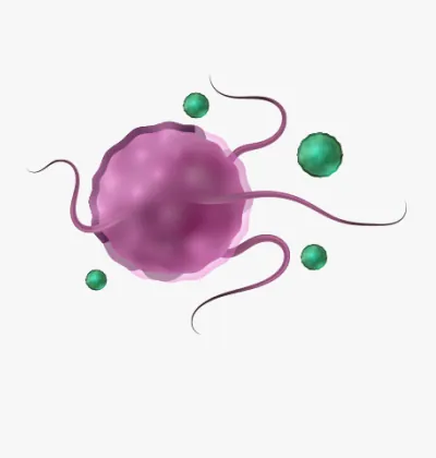 Illustration of purple harmful bacteria